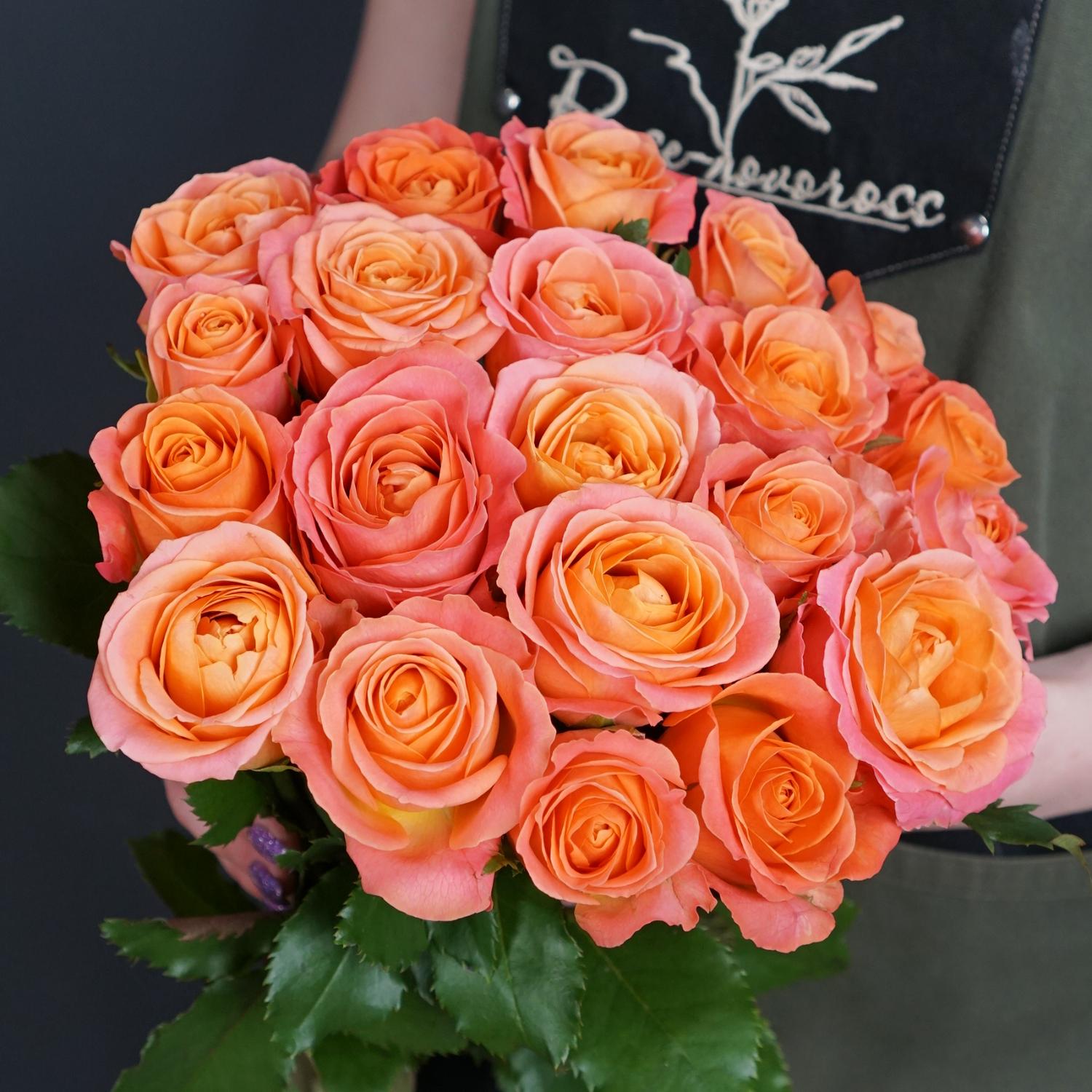 Кларенс роза доставка цветов в страницах